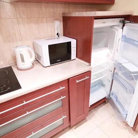 Apartserws Zosia 公寓 扎科帕内