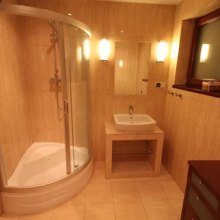 Apartserws Zosia 公寓 扎科帕内